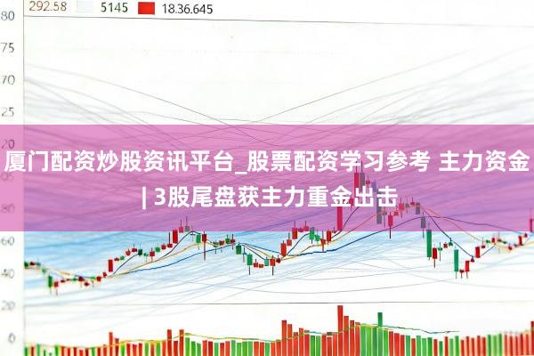 厦门配资炒股资讯平台_股票配资学习参考 主力资金 | 3股尾盘获主力重金出击
