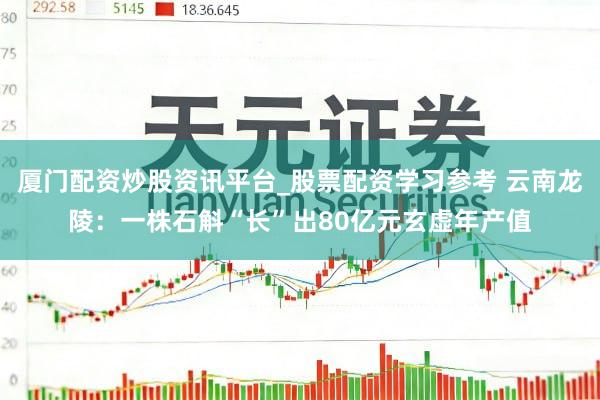 厦门配资炒股资讯平台_股票配资学习参考 云南龙陵：一株石斛“长”出80亿元玄虚年产值