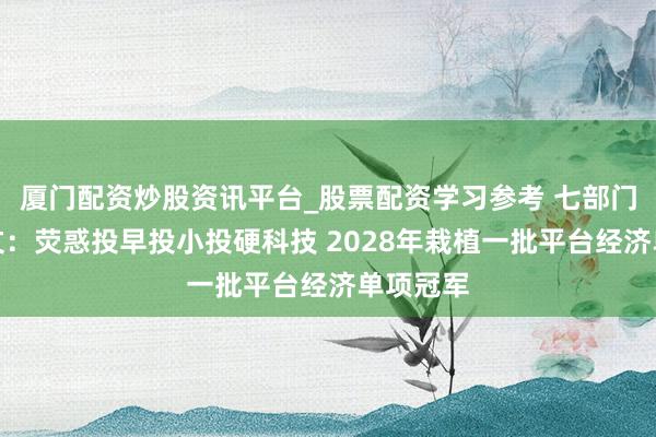 厦门配资炒股资讯平台_股票配资学习参考 七部门重磅发文：荧惑投早投小投硬科技 2028年栽植一批平台经济单项冠军